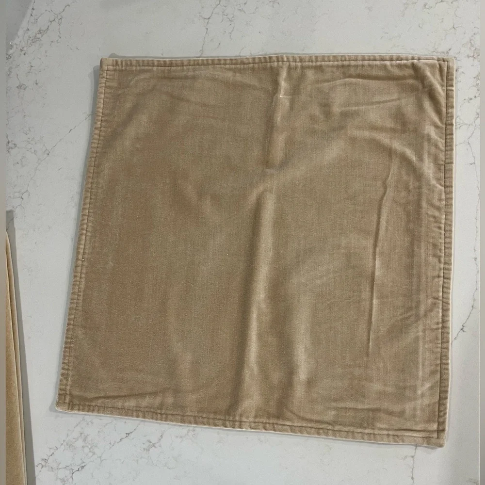 Velvet Pottery Barn Pillowcase Cover 20x20